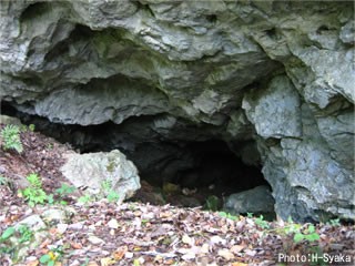 佐目のこうもり穴　「洞口」 鍾乳洞 洞窟探検動画 ビデオ映像　動画